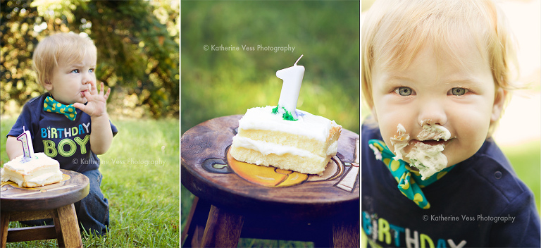 cake smash during 1 year old birthday session
