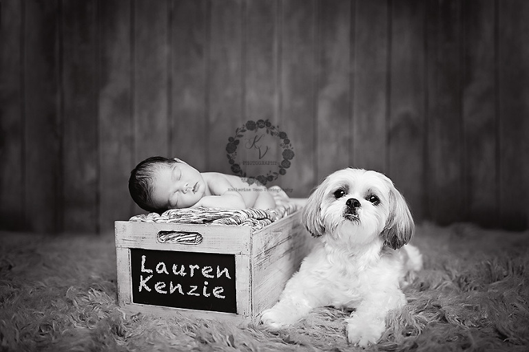 newborn and dog