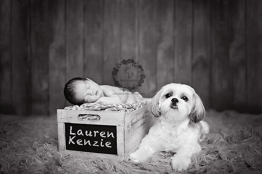 newborn and dog