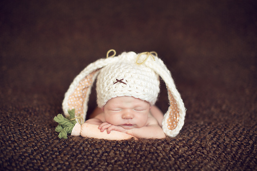 newborn bunny