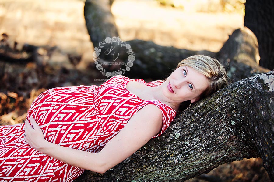 maternity on a tree