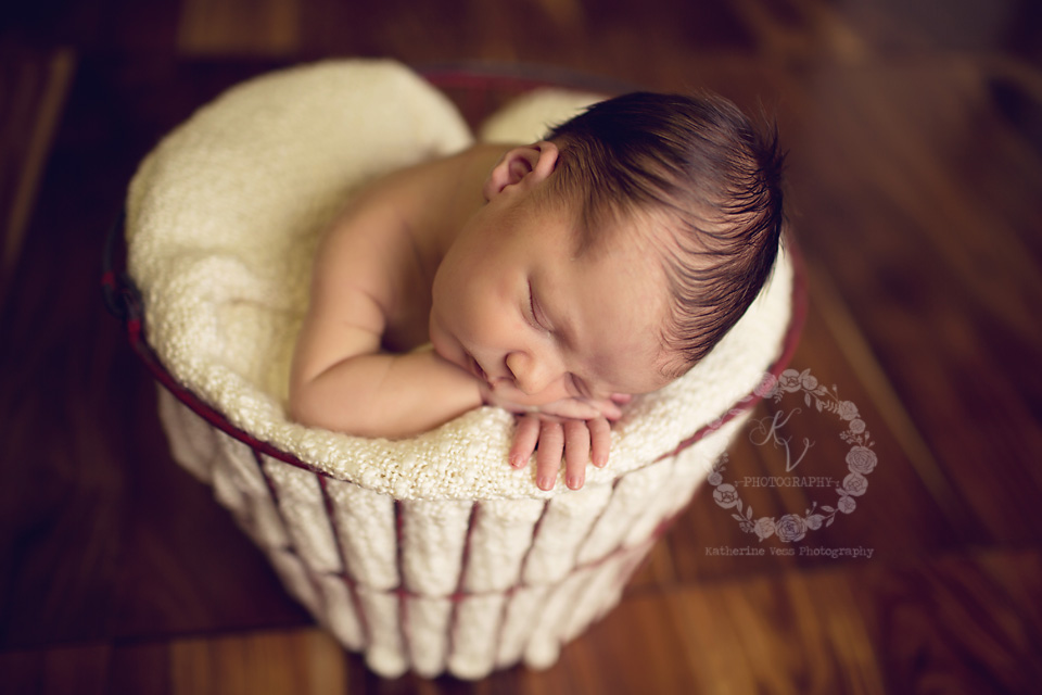 newborn in egg wire basket
