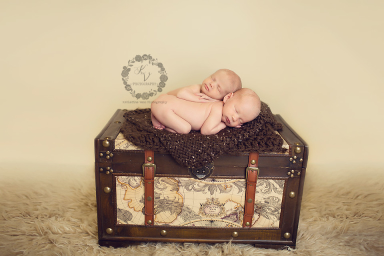 newborn twins on trunk