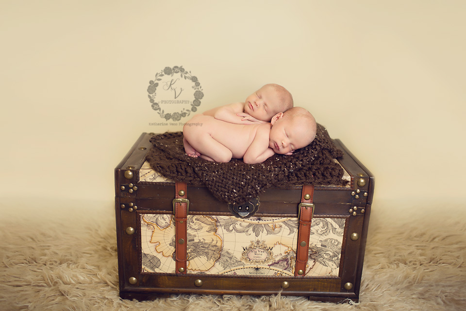 newborn twins on trunk