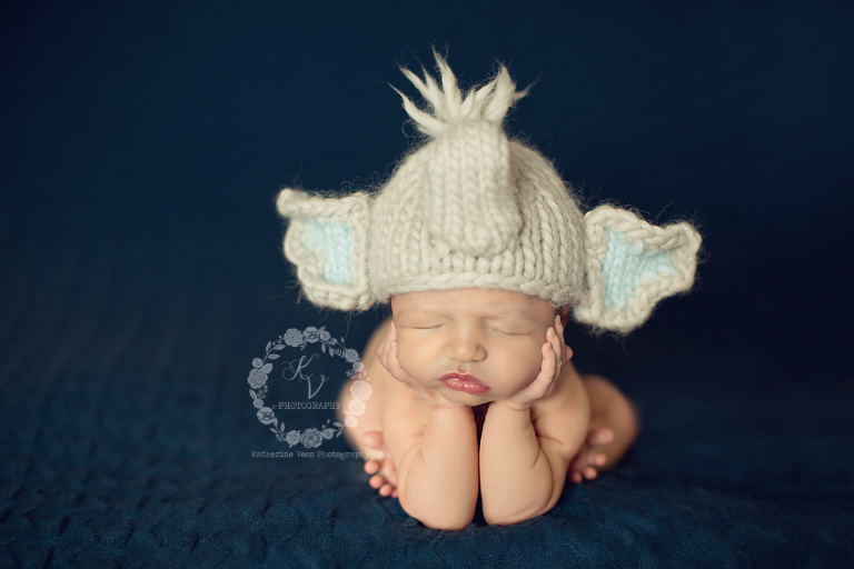 newborn baby elephant