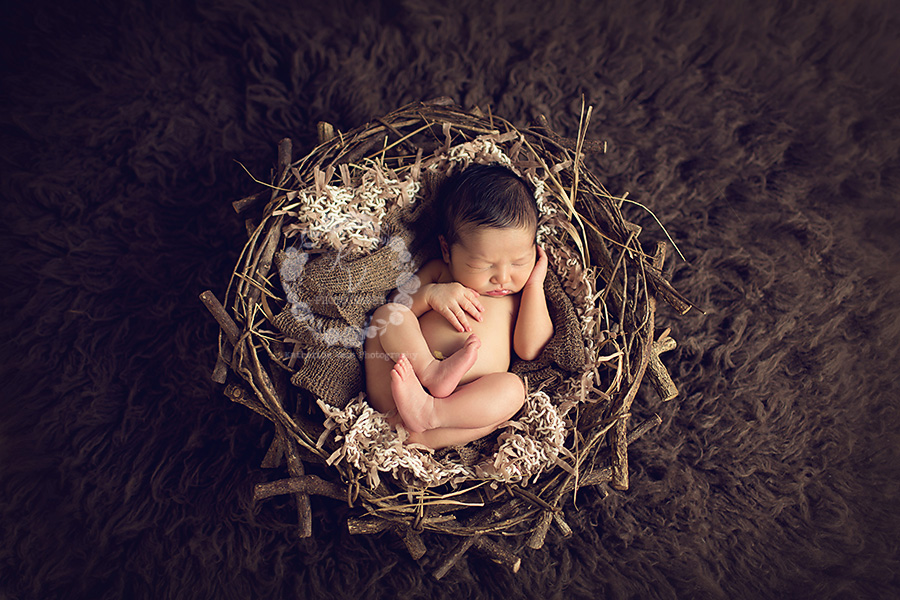 newborn in organic nest