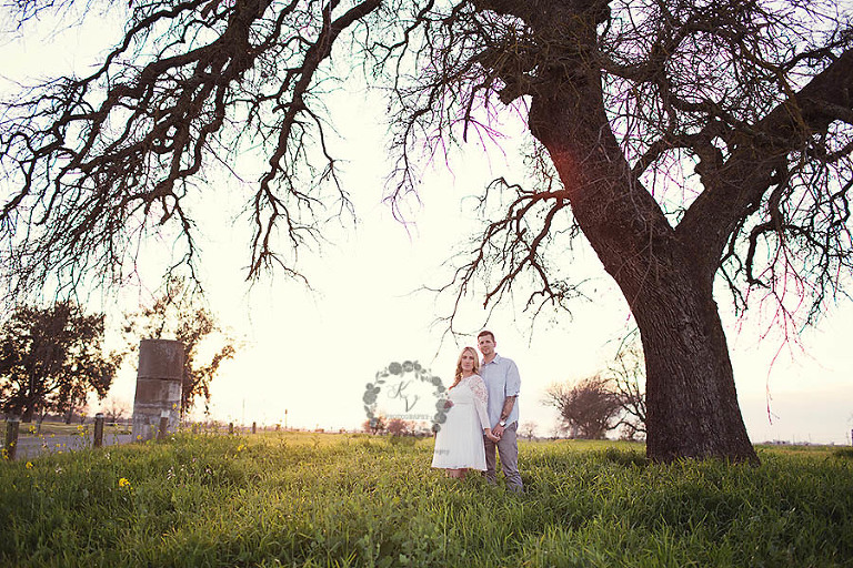 Best Northern California, Sacramento Maternity Photographer