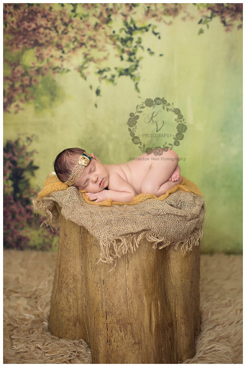 newborn baby girl on wood stump