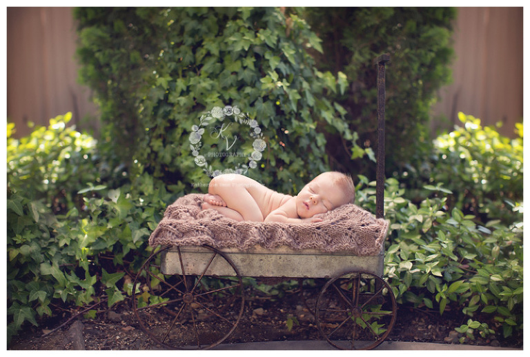 outdoor newborn in wagon