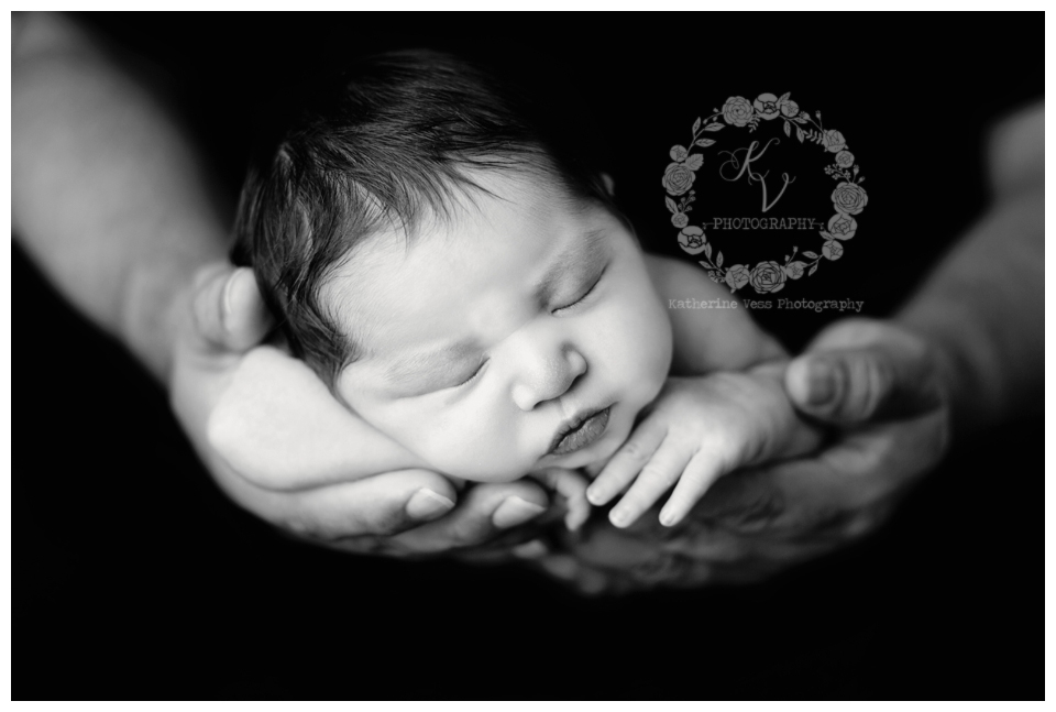 newborn girl in daddy's hands