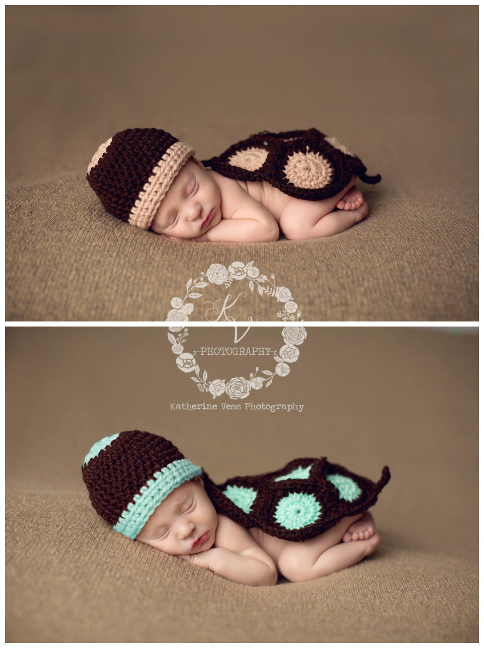 newborn twin turtles