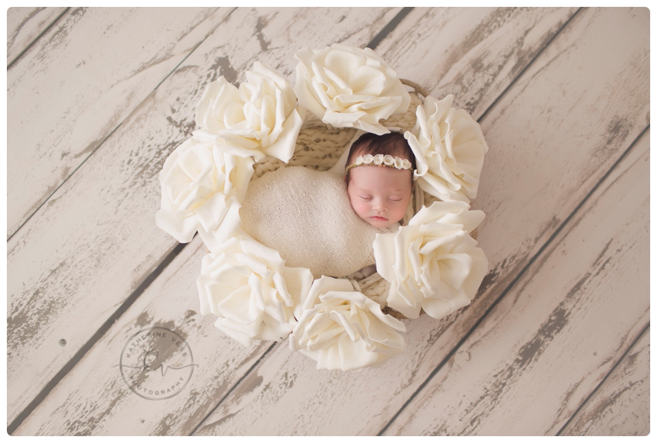 best sacramento newborn photographer