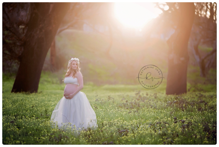 best sacramento maternity photographer