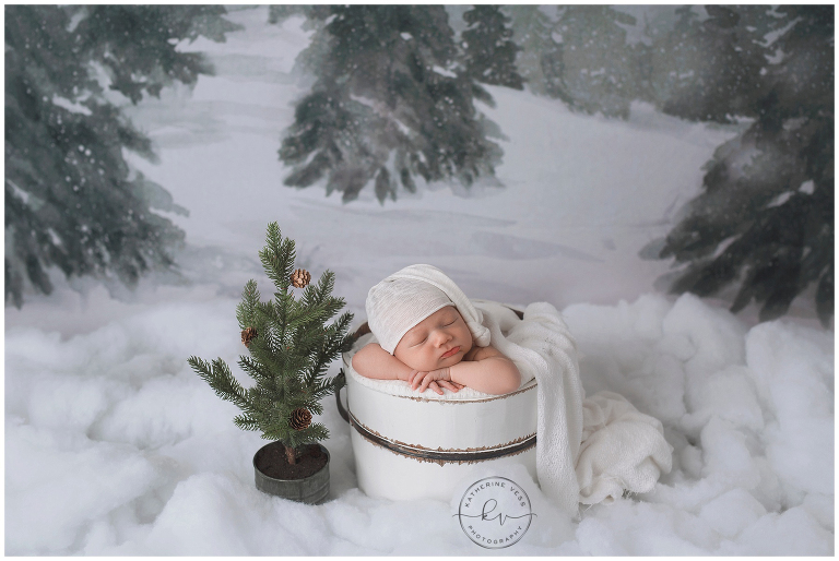 Best Sacramento Newborn Photographer