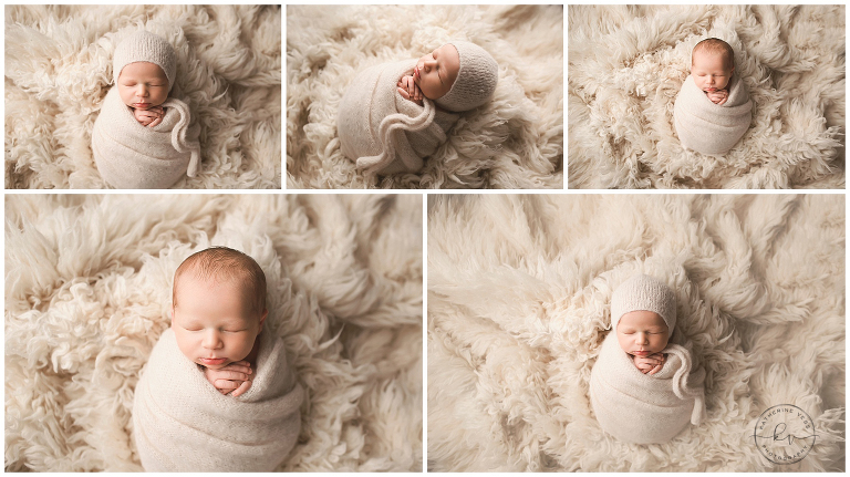 newborn portraits sacramento