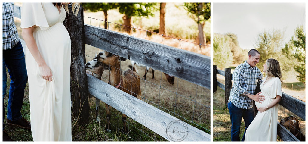 sweet-and-simple-maternity-photography-Loomis-CA maternity-session-goats-farm-lincoln-CA-photographer