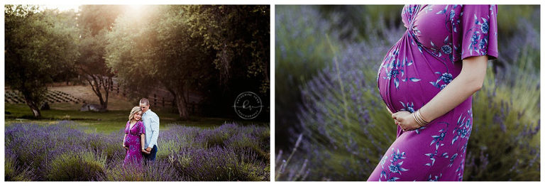 summer-lavender-fields-maternity-photos-Sacramento-CA-photographer