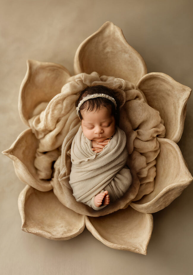best roseville newborn photographer