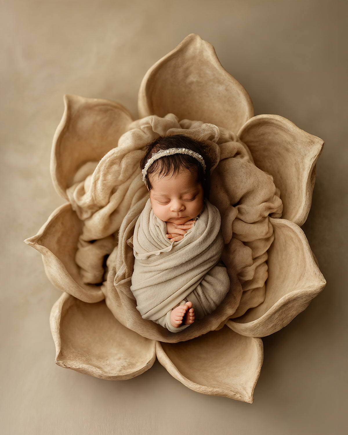 best roseville newborn photographer best roseville newborn photographer