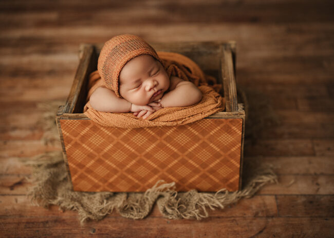 el dorado hills ca newborn photography