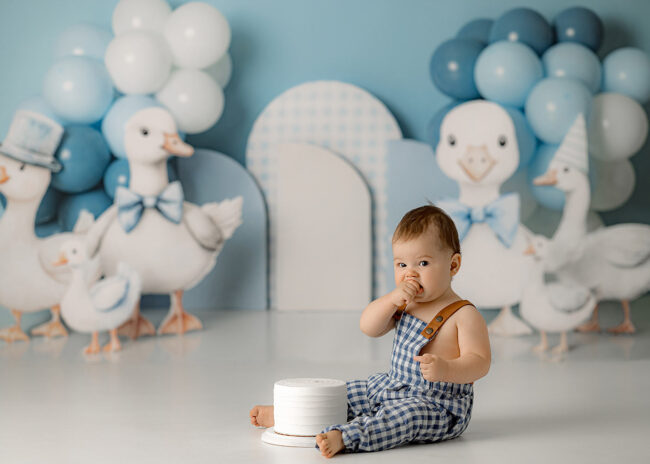 folsom ca cake smash first birthday photos