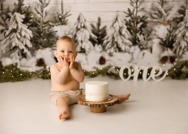 folsom ca cake smash photographers