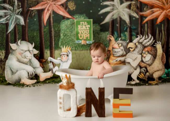 rocklin ca cake smash first birthday photos