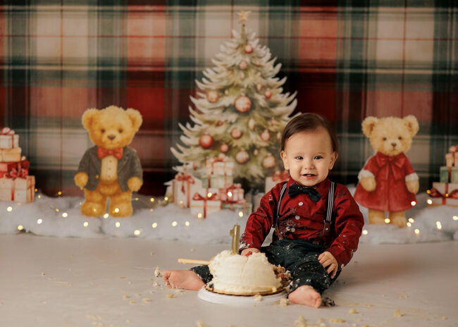 rocklin ca cake smash photographer