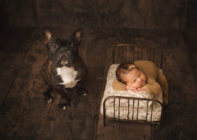 rocklin ca newborn photographer