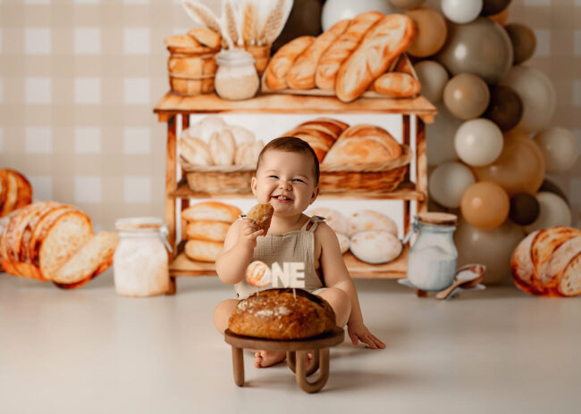 roseville ca cake smash first birthday photos