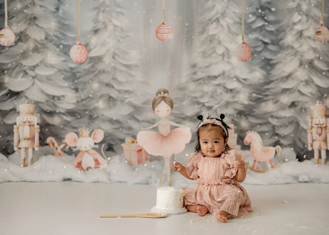 sacramento cake smash first birthday photos