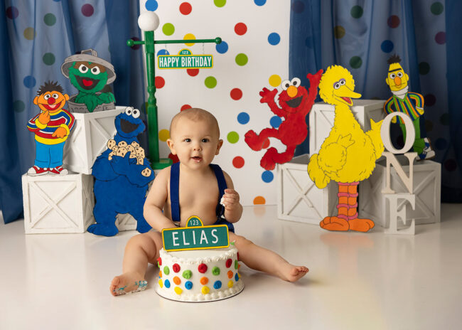sacramento cake smash photographer sesame street