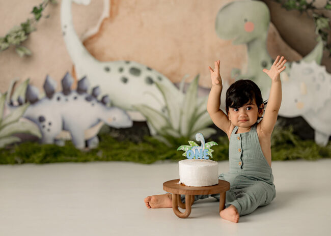 sacramento cake smash photography